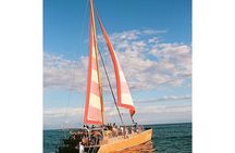 South Shore Open Sail from Kewalo Harbor Including Drinks
