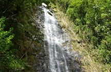 Diamond Head and Manoa Falls Hike and Adventure Tour