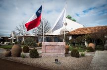 Premium Wine Tasting and Private Transport to Casas del Bosque