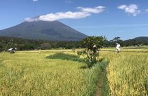 Private Car Charter in Bali with an English speaking Driver