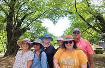 Hirosaki Customized Half-Day Tour with Licensed Local Guide