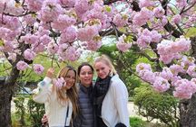 Hirosaki Full-Day Private Tour with Government-Licensed Guide