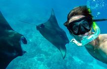 Nusa Penida Snorkeling with Manta Bay & Island Tour