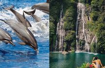 Bali Swim with Dolphin & Watching Sunrise, Gitgit Waterfall 