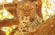 4 Day Private Tour in Tanzania