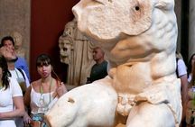 Vatican Semi Private Tour:Museum Sistine Chapel St Peter's Church