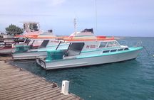 Papeete and Tahiti Historical and Cultural Tour