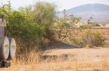 Day trip Safari from Zanzibar to Mikumi by Flight