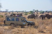 6 Days Private Safari Tarangire, Serengeti, and Ngorongoro crater
