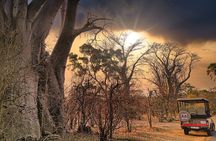 3 Hours Braai/BBQ Safari Game Drive in Zambezi National Park 