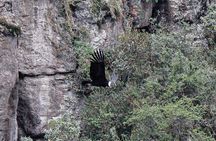 Private Tour to spotting condors at Antisana volcano all included