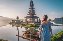North Bali Scenic Tour with All-Inclusive & Private Guide Tour