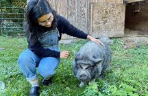 Meet Our Rescue Animals: Private Tour of A Family-Run Farm