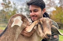 Meet Our Rescue Animals: Private Tour of A Family-Run Farm