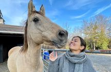 Meet Our Rescue Animals: Private Tour of A Family-Run Farm
