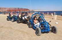 Tour the Paracas National Reserve in a MiniBuggy