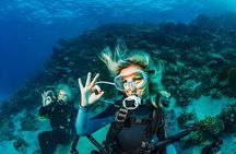 Ras Mohamed, White Island Trip, Two Stops Diving -Sharm El Sheikh