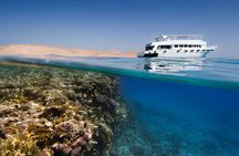 Ras Mohamed, White Island Trip, Two Stops Diving -Sharm El Sheikh