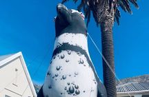 Cape of Good hope,penguin Beach, Table Mountain, Campsbay