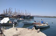 Seafood Secret Tour in Mazatlan 