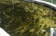 Cape Breton Scenic Jeep Adventure (2hr)