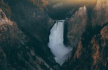Yellowstone Full Day Small Group Tour (from West Yellowstone)