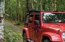 Cape Breton: Scenic & Hidden Gem Tour | Private Express (2hr)