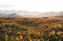 Rocky Mountain Full Day Private Tour & Hike from Denver / Boulder