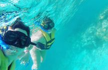 Snorkeling Adventure from Cancun 