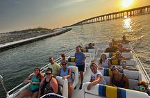 Thriller Speedboat Dolphin Tours in Destin Florida