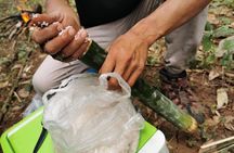 Tribal Cooking Class in Luang Prabang Forest and visit