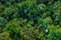 Small Group Waterfall Wetlands+ Skyrail All Inclusive from Cairns