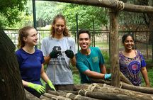  From Delhi :Taj Mahal And Agra Tour with Elephant wildlife sos