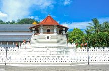 3 Days 2 Night (Sigiriya,Kandy & Nuwera Eliya) from Kandy