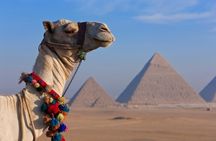 Private Cairo Tour: Pyramids, Sphinx, Museum & Bazaar