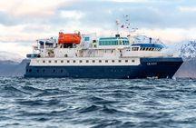 24hr Northern Lights & Whale Watching Cruise
