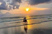 Seminyak Horse back riding In the beach