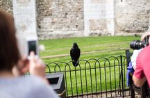 VIP Beefeaters Meet & Greet with Tower of London Guided Tour