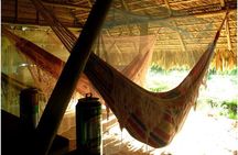 Camping and Cooking Classes in Primary Forest in Luang Prabang