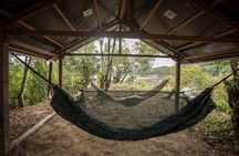 Camping and Cooking Classes in Primary Forest in Luang Prabang