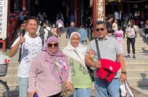 Private Customized Tour with Local Guide In Tokyo