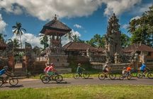Bali Eco & Educational Cycling Tour