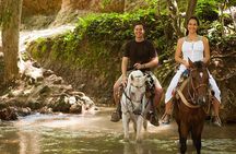 Samana: Bacardi Island and El Limon Waterfall