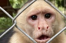 Pumas Rescue Center & Llanos Del Cortes Waterfall Swimming