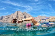 Full day Dhow: Khasab, Musandam: Dolphins, Snorkeling & Fjords 