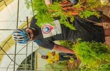 Pan African Cooking Class & Dinning Experience 