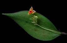 Full Day Nature Experience