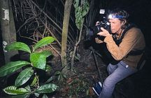 Secret Night Walk in Puerto Jimenez