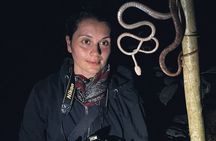 Secret Night Walk in Puerto Jimenez