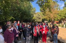  Highlights of Ephesus Tour from Izmir Port / Cruisers only 